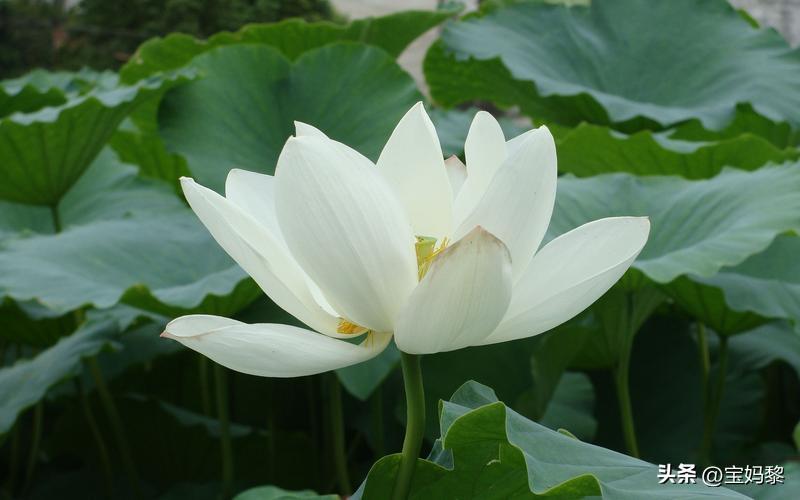 *欲色**其实有层次，浅谈浇灭*欲色**次第论，一关比一关难过，不信看看