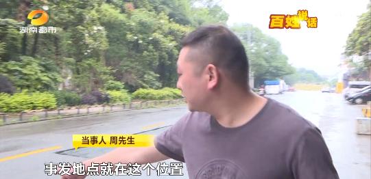 宠物猫被车压死怎么赔偿,宠物猫被车撞死车主要赔偿么