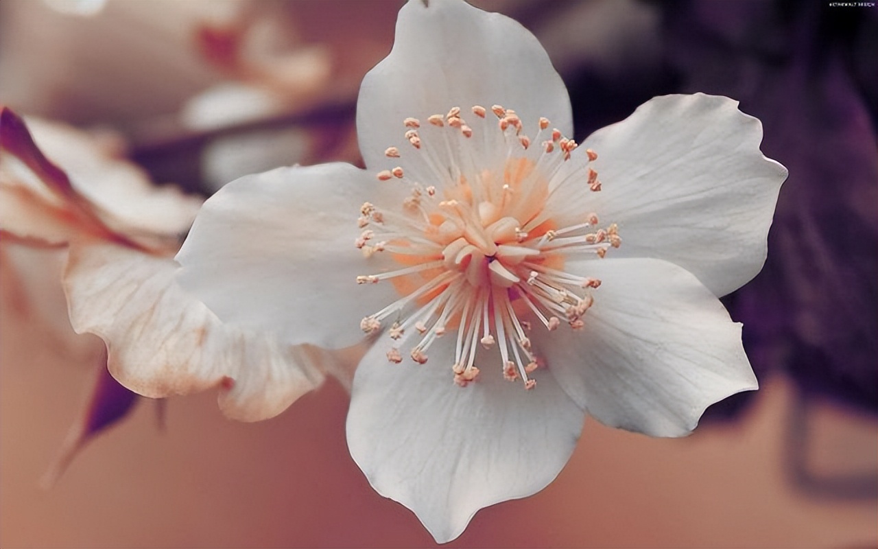 一个没有朋友的人是什么心态,如果你没朋友说明你自己有问题