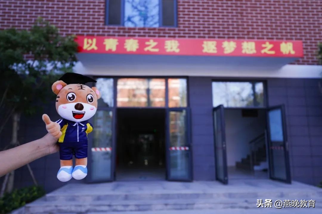 超越虎,超越虎图片