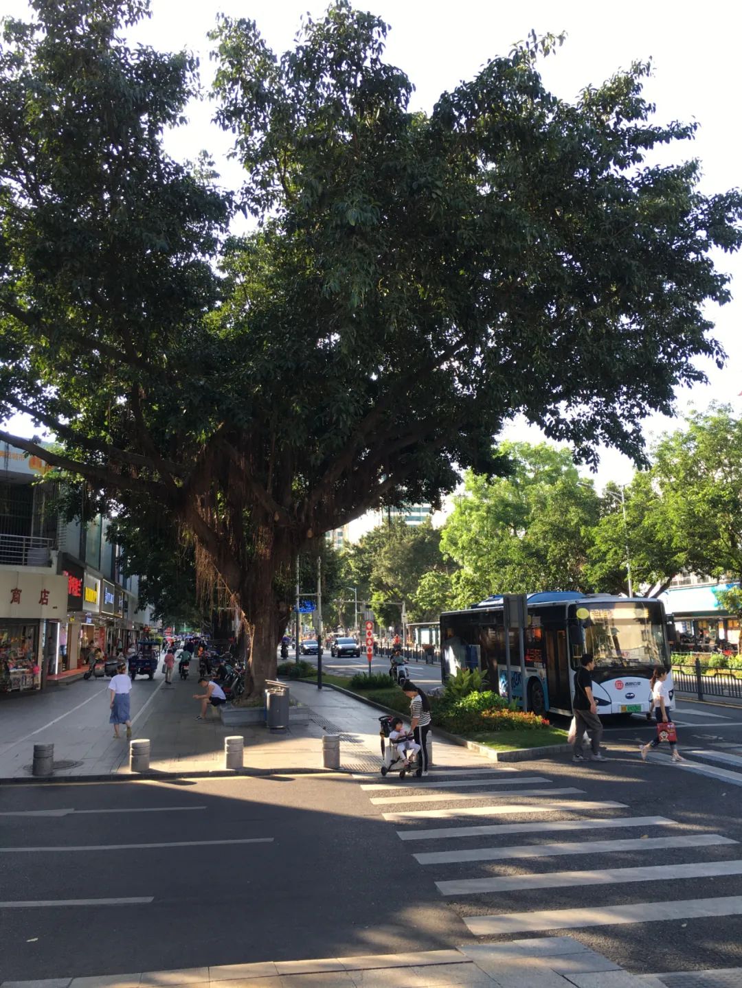 《旭光骑行深圳》第21站——龙华区龙华街道
