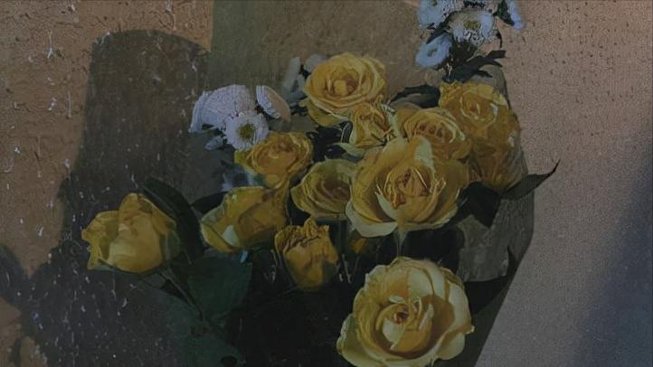 没有爱情的婚姻就是一盘散沙,没有物质的爱情婚姻就是一盘散沙