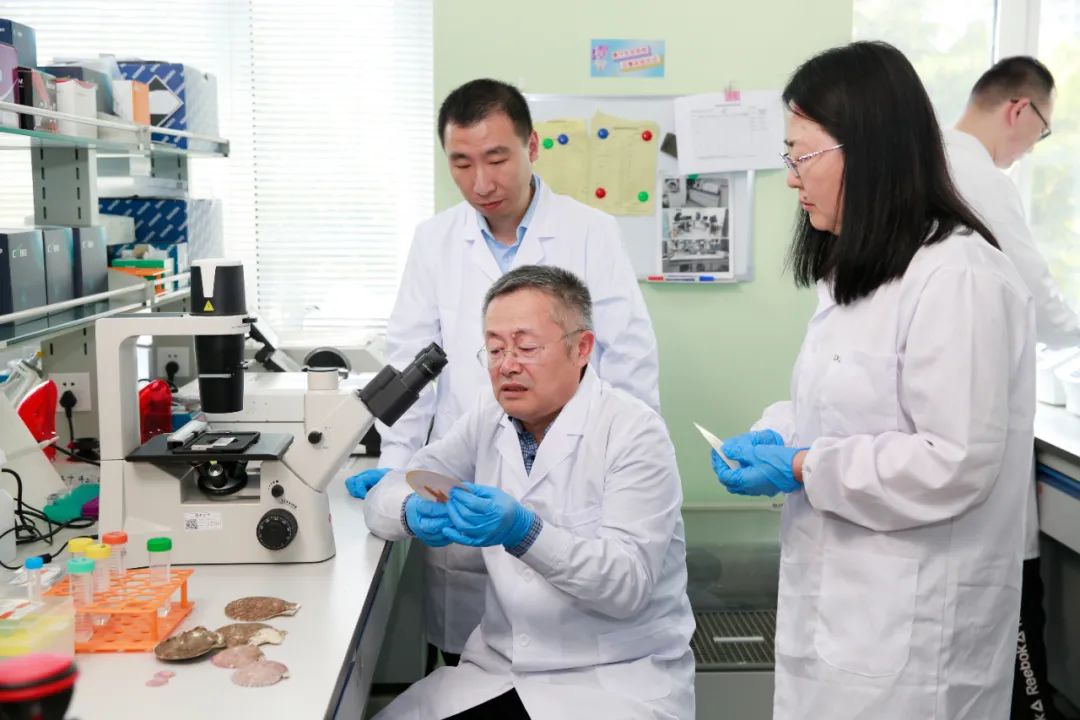 他“捧回”全省科技最高奖！青岛“军团”实力出圈