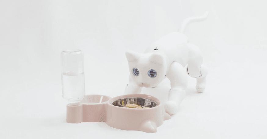 学生*党**的第一只机器猫，可以用来学代码