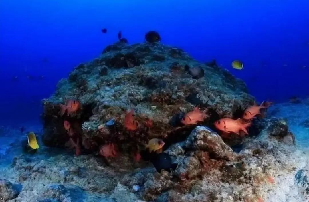 我国南海最大的人工岛礁是哪一座,中国南海目前吹填的最大岛礁