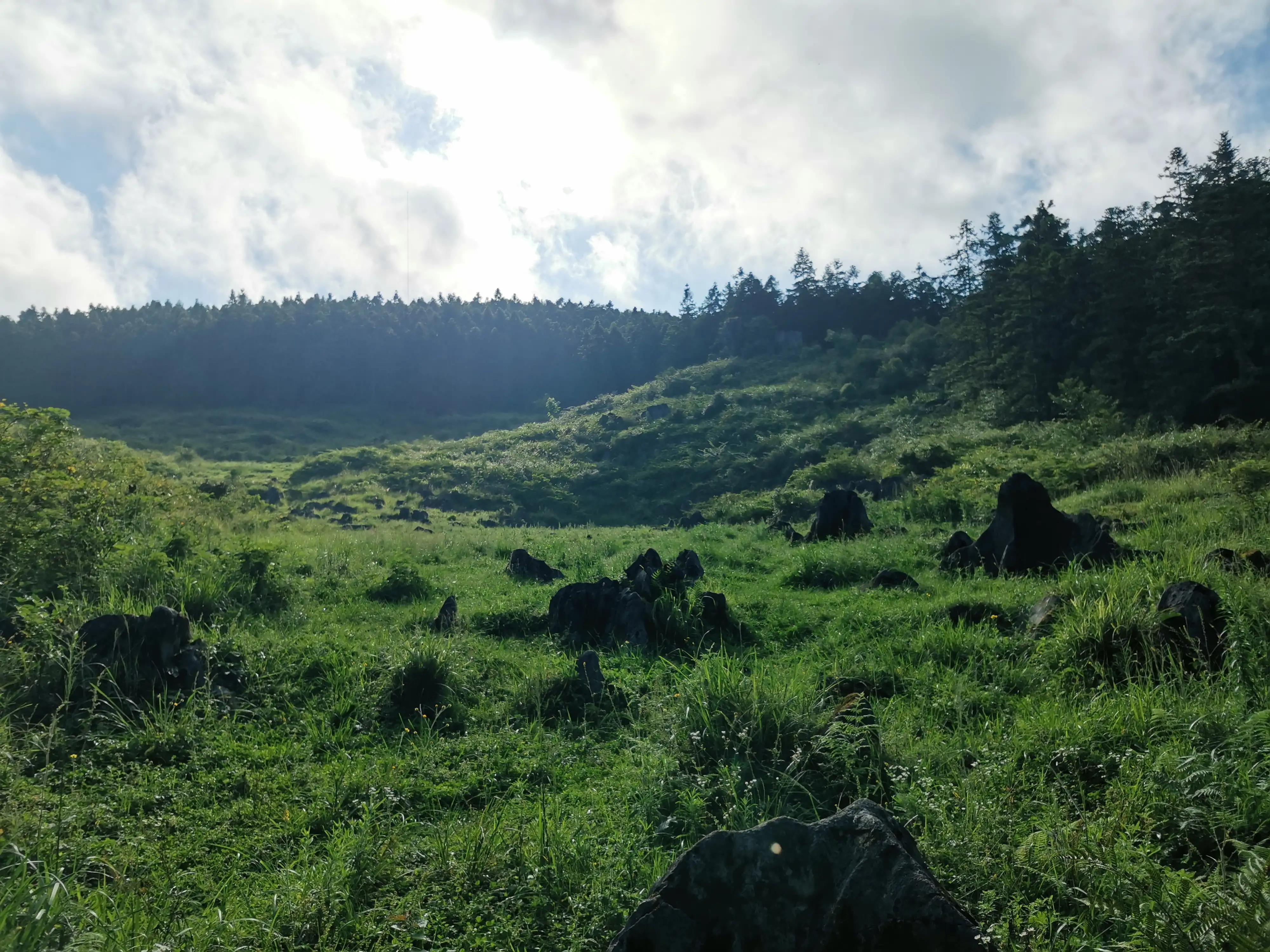 桐梓楚米避暑海拔高的地方,贵州桐梓楚米避暑哪家好
