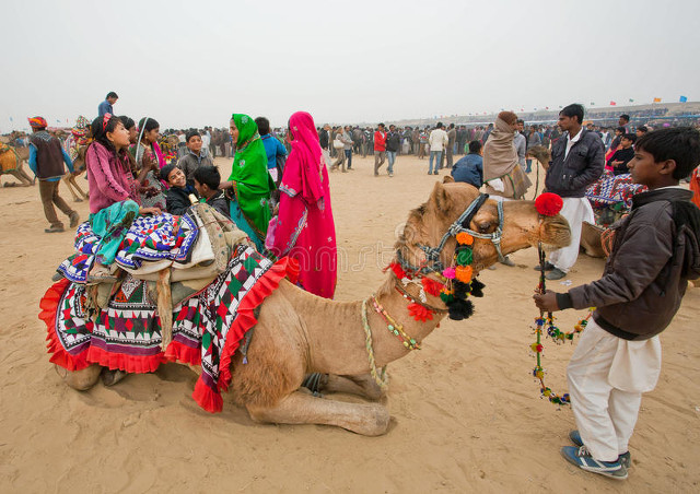 长篇励志小说《活在长冬也美丽》第十章做“鸡”