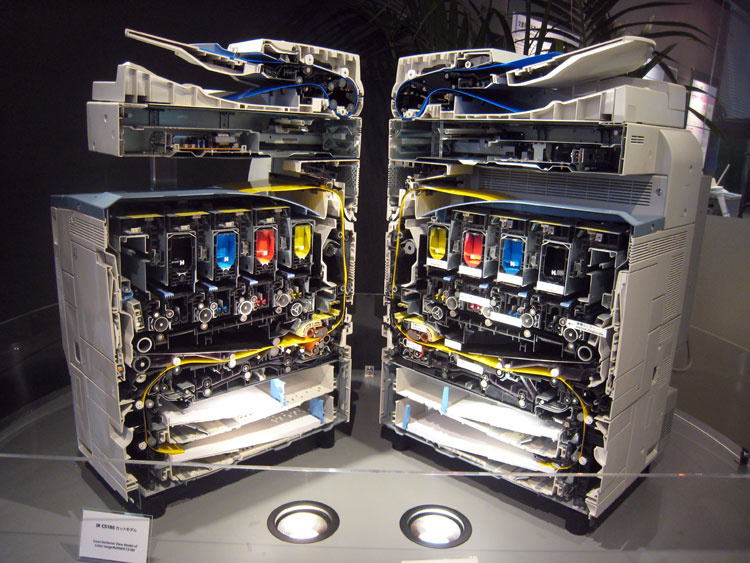 60样东西，切成一半，让你看得一清二楚