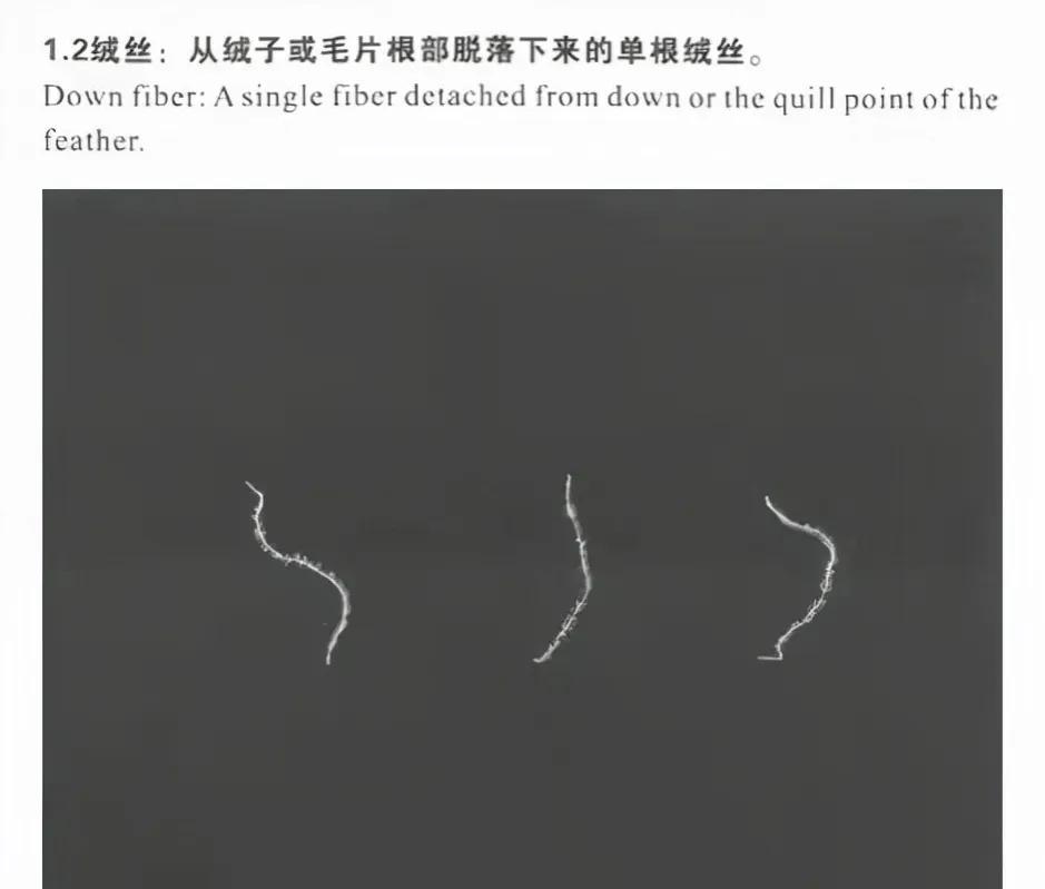 羽绒服的行业内幕,羽绒服市场存在哪些问题