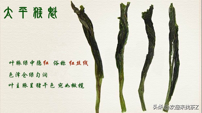 实体店茶叶价格,茶叶的价格为什么差这么多