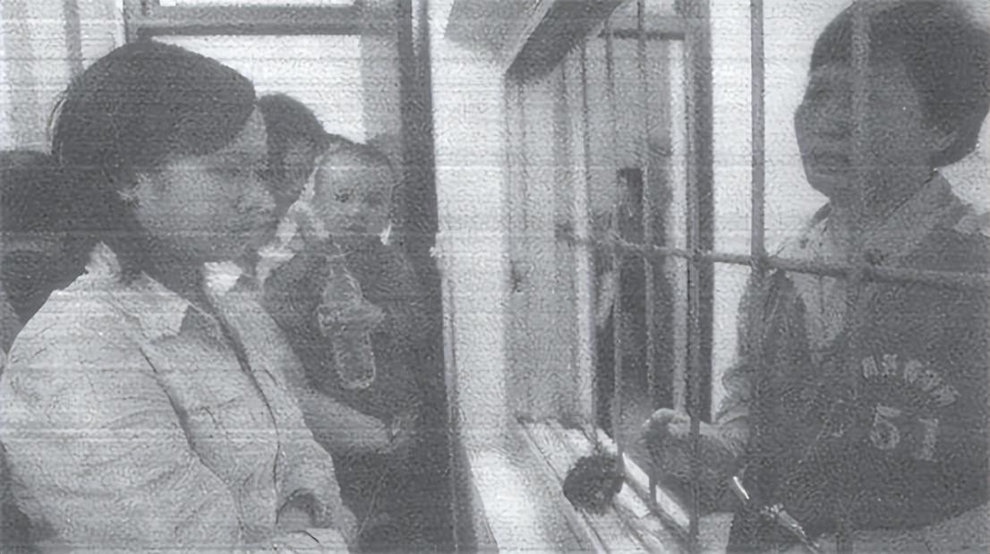 彭洪菊拐卖儿童事件 (人贩子彭洪菊案件)