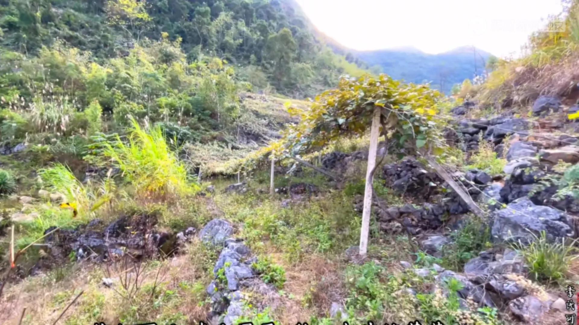 18岁女孩被卖到山村嫁给傻子,花季少女被卖大山嫁傻子