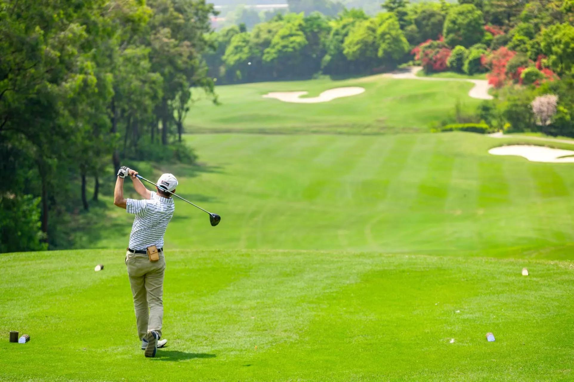 最近广东佛山发生的新闻,佛山别墅暴跌最新消息