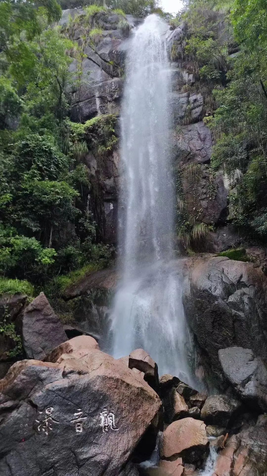 全球学子嘉游赣活动,来大美上饶趣游一夏门票