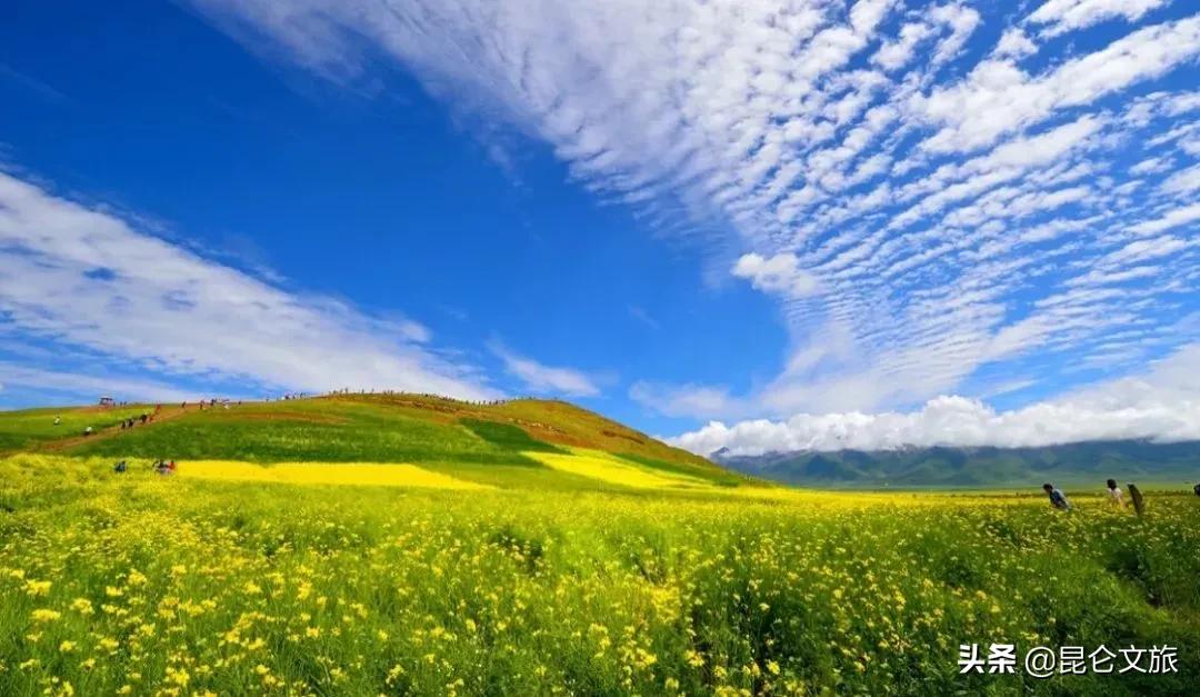 大美青海生态旅游推荐,大美青海美景短视频