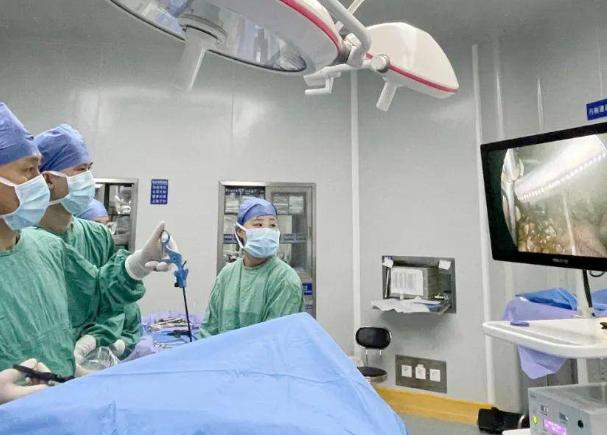 胆囊结石有什么症状及危害,胆囊结石并发症有哪些