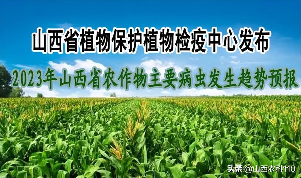 下半年主要农作物病虫发生趋势,2023年全国农作物病虫害最新数据