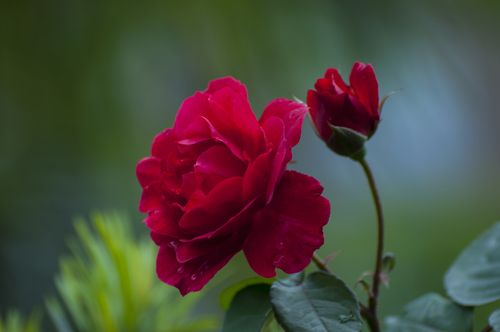 疫情当下在家怎么挣钱?