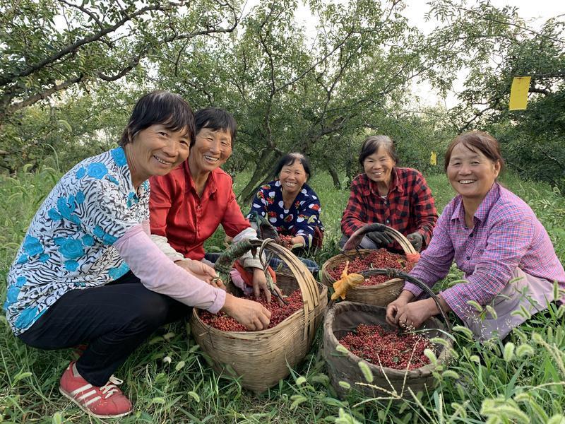 三上太空,陕西韩城太空花椒有限公司
