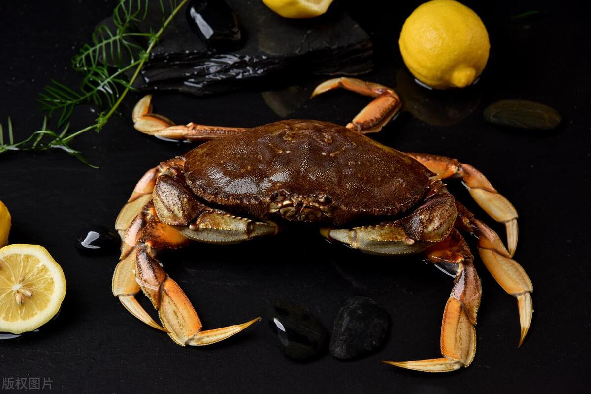 这十种螃蟹你吃过几种,比帝王蟹还要好吃的十种螃蟹
