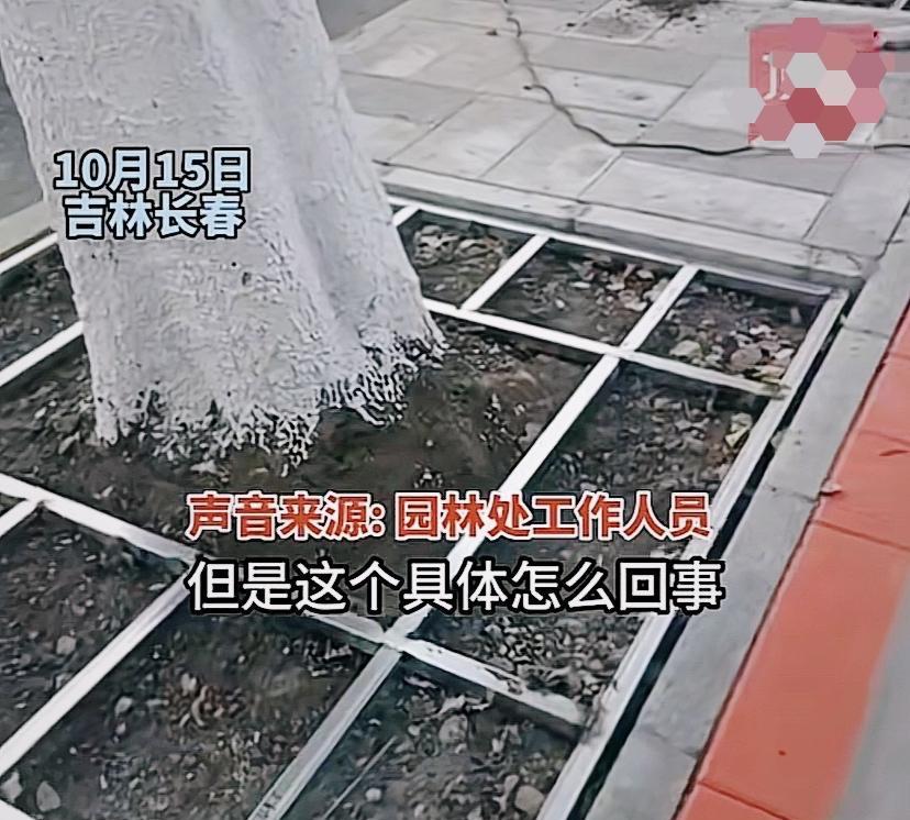 园林工人美化环境,园林工人用辛勤筑造美丽家园