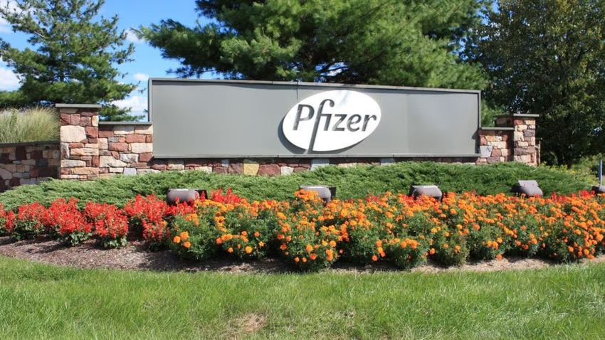 辉瑞特效药为什么这么厉害,辉瑞特效药到底如何