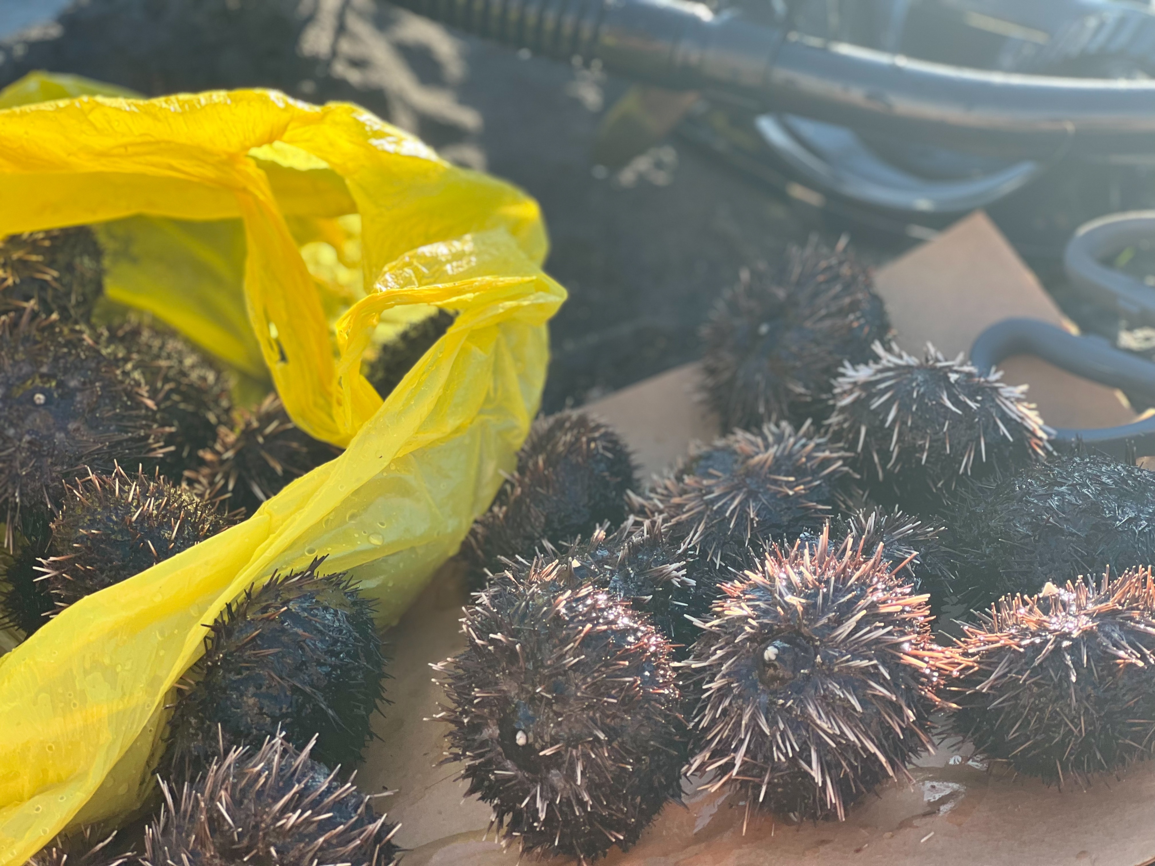 美国风光之夏威夷,夏威夷哪个岛适合度假