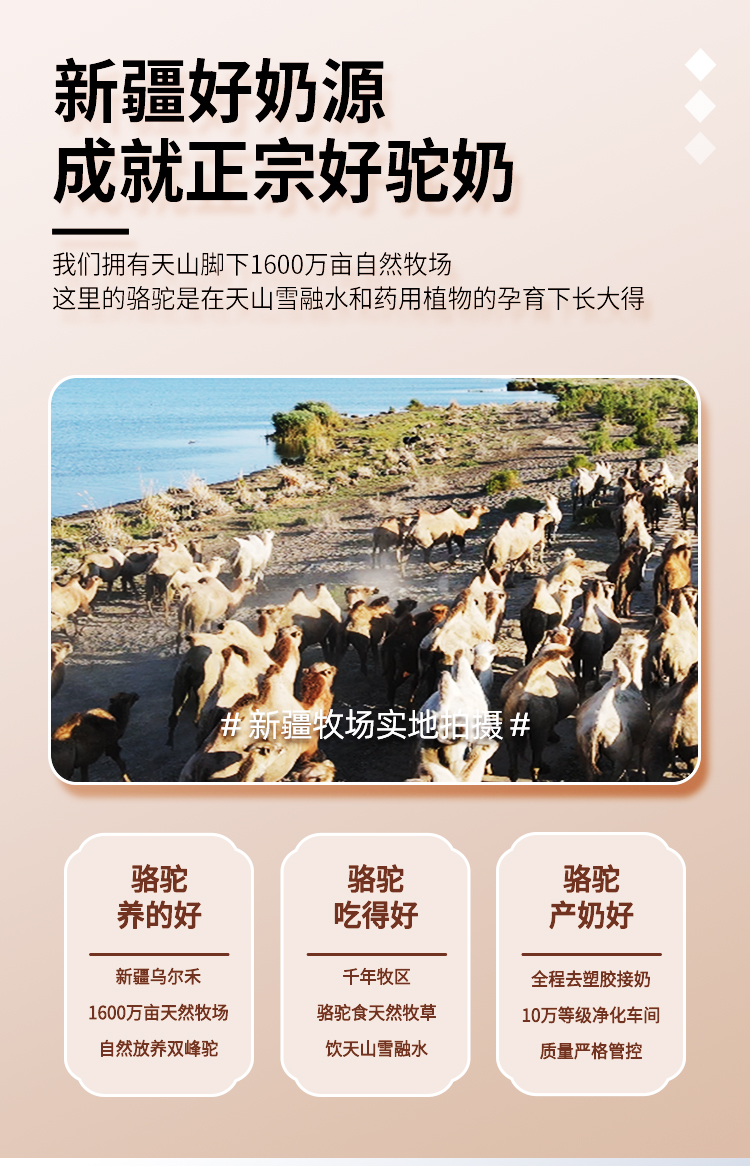 骆驼奶粉怎么买才是正宗的,正宗骆驼奶粉该怎么选才好