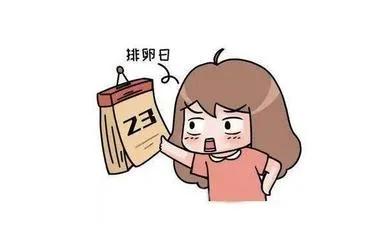 排卵期前七天是安全期吗,女性什么时候是安全期和排卵期