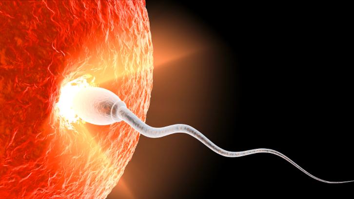 女人身体里的节育环不取出来行吗,女性身体里的节育环