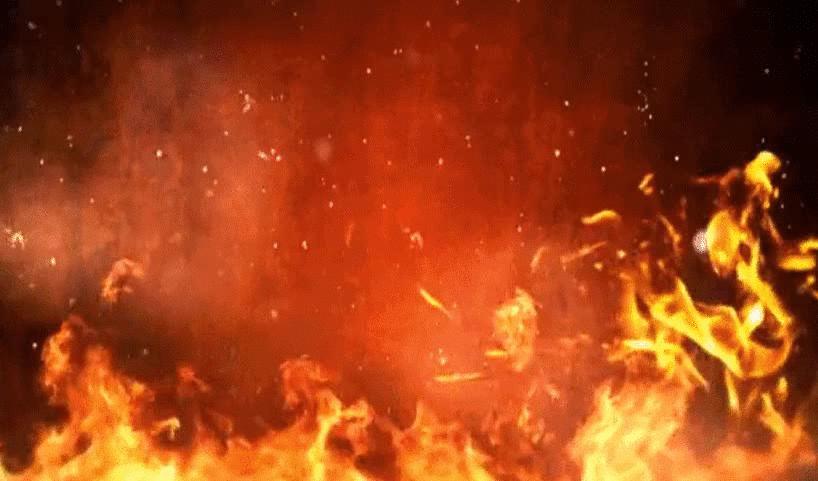 人类全身褪去毛发后，为何只留下了头发、阴毛和腋毛？忘记褪了？