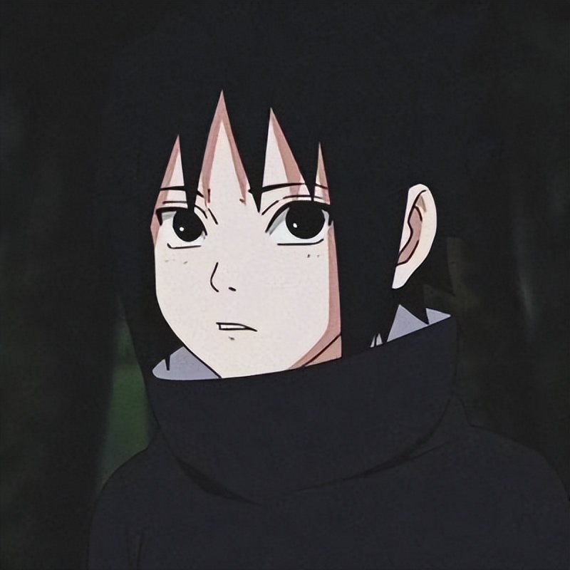 火影忍者里面的结局是怎么样的,其实这才是火影忍者真正的结局