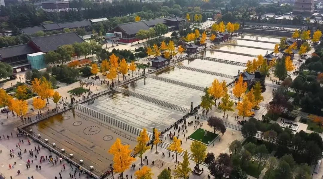 四时如歌|碧水惊秋，黄云凝暮，佳节又重阳