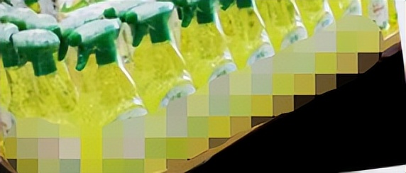 为什么养猫猫家里有怪味,养猫味道大怎么办小妙招