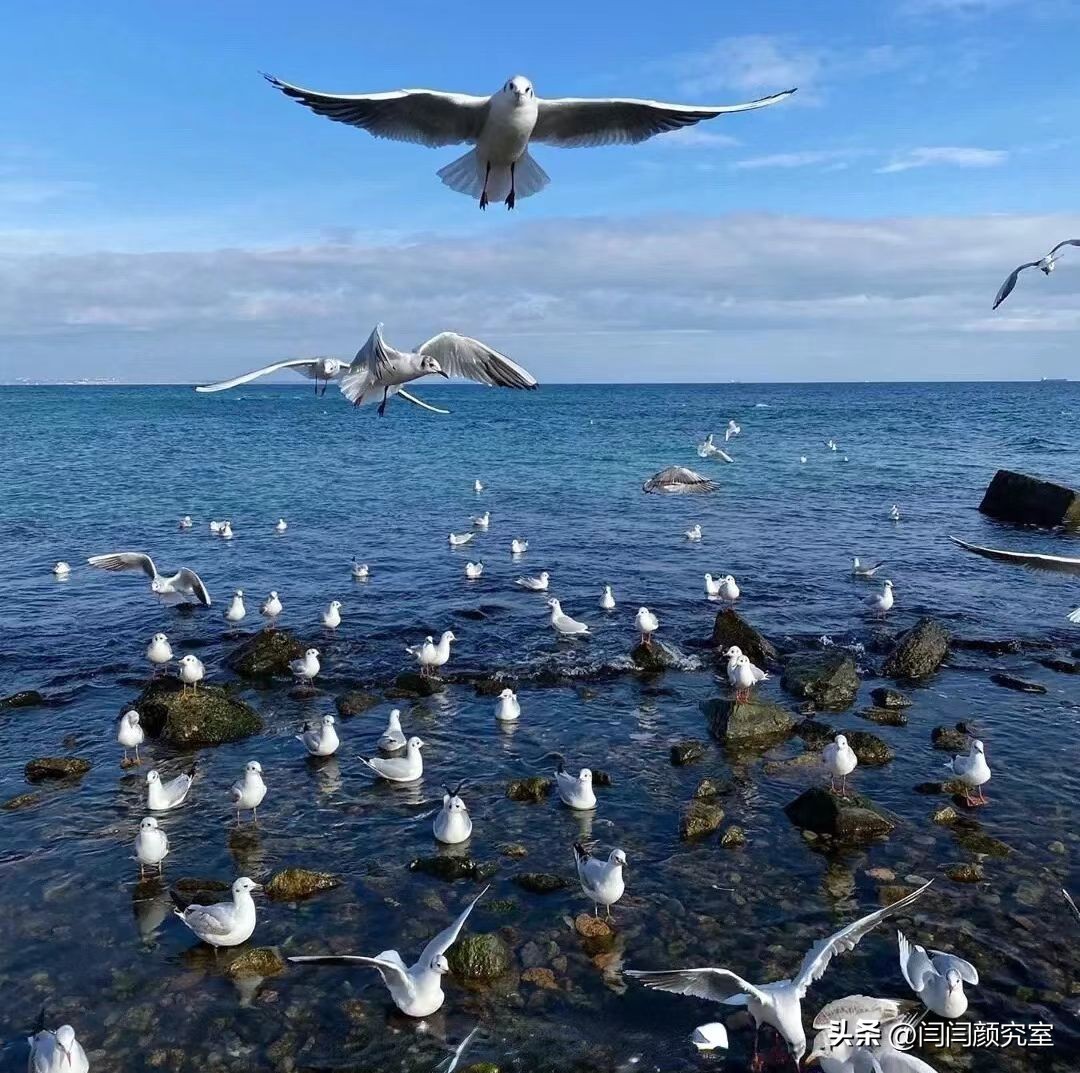 微信置顶文案朋友圈,微信置顶文案如何设置