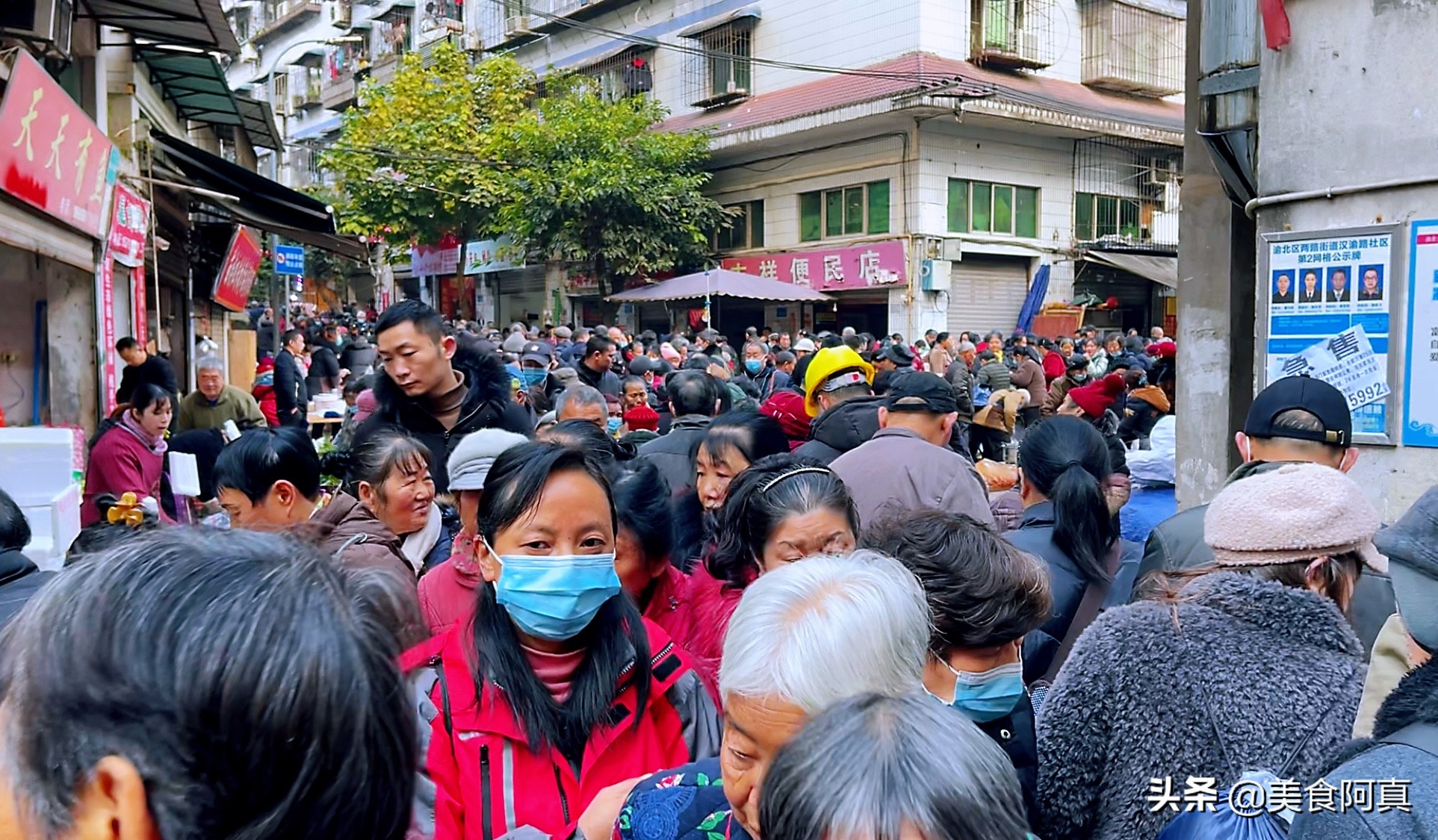 重庆狗儿市场有什么吃的,重庆主城狗市在哪里