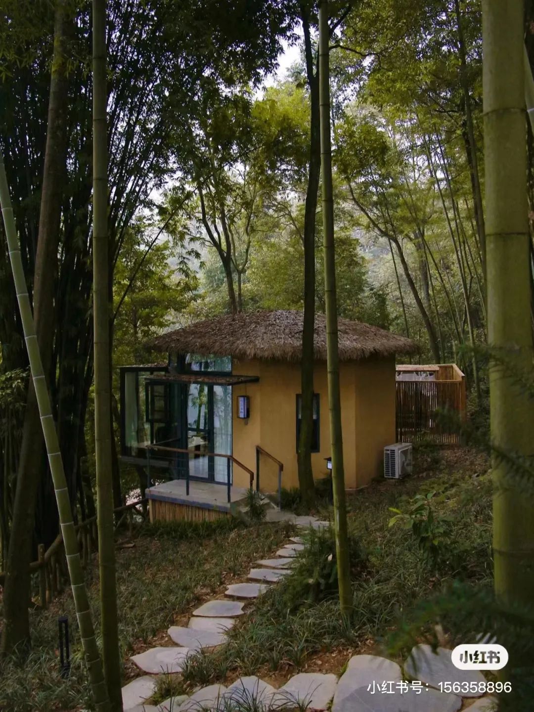 躲进山里民宿,躲在深山老林的民宿
