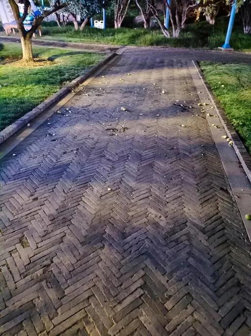 暴殄“果”物，家教有“疾”