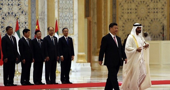 阿联酋基础建设,阿联酋的优势与劣势