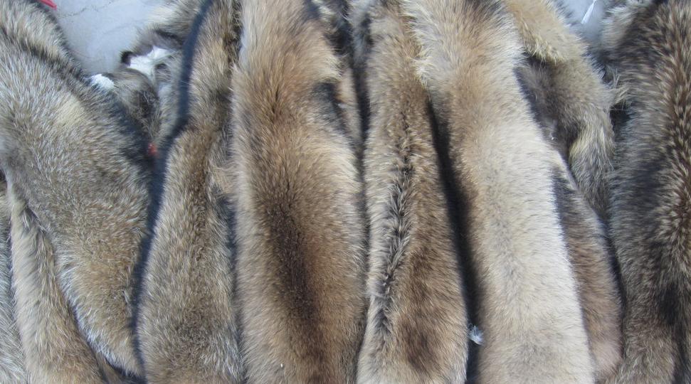 为何穿裘皮的越来越少,为什么人们穿皮草