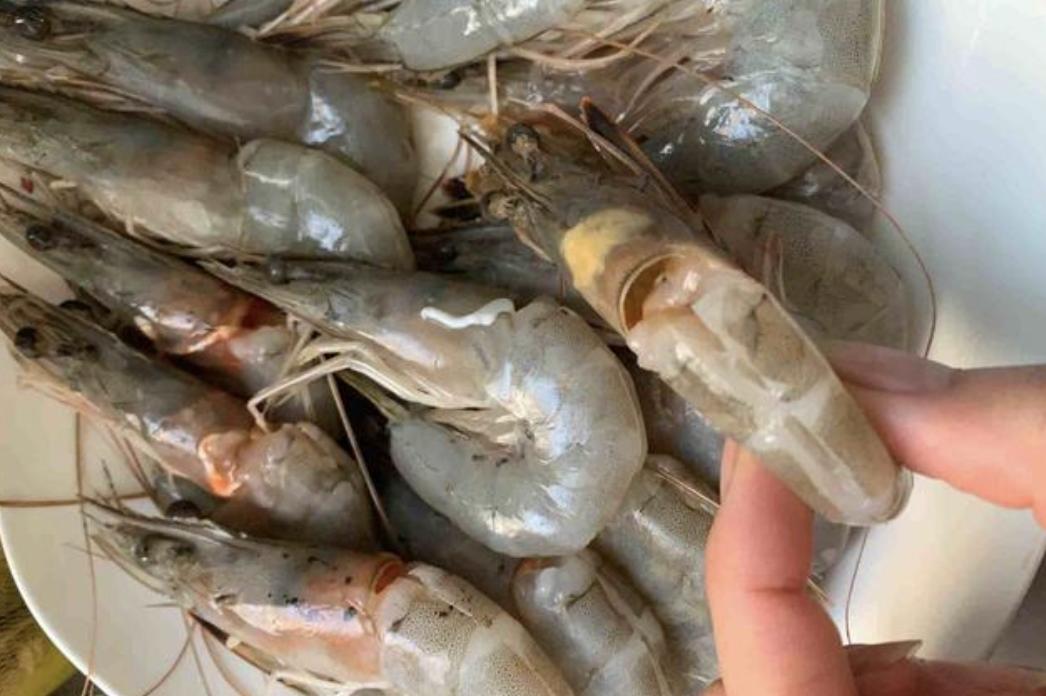 如何挑选大虾是不是海水虾,活虾买弯的还是买直的