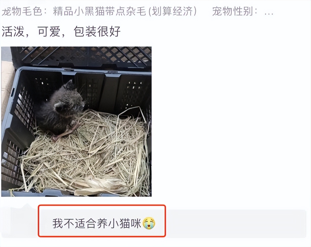 她惨死却热搜下架，你们满意了？