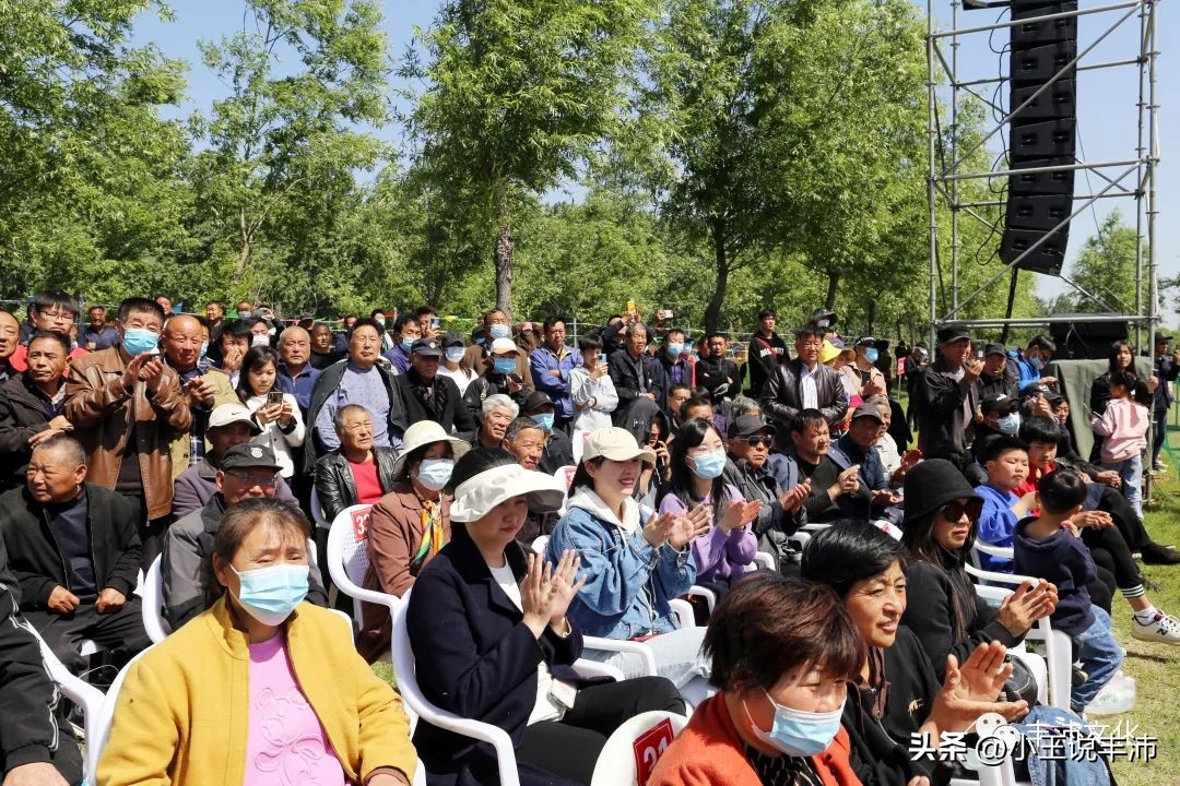 沛县足球赛精彩进球,足球佳话