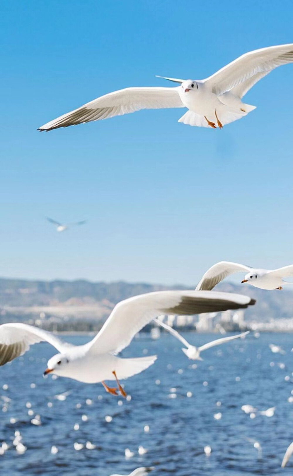 自然界中有哪些被自身蠢死的动物,自然界最会伪装的十种动物