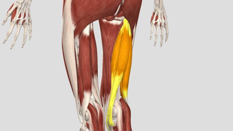 刘畊宏的毽子操不是一般人能练的,刘畊宏毽子操有风险吗