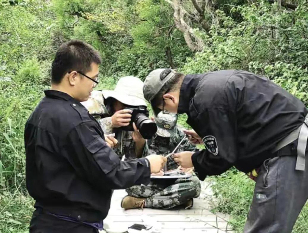 大连蛇岛上的“守蛇人”，守着2万条毒蛇，管蛇吃喝，为蛇涂药水