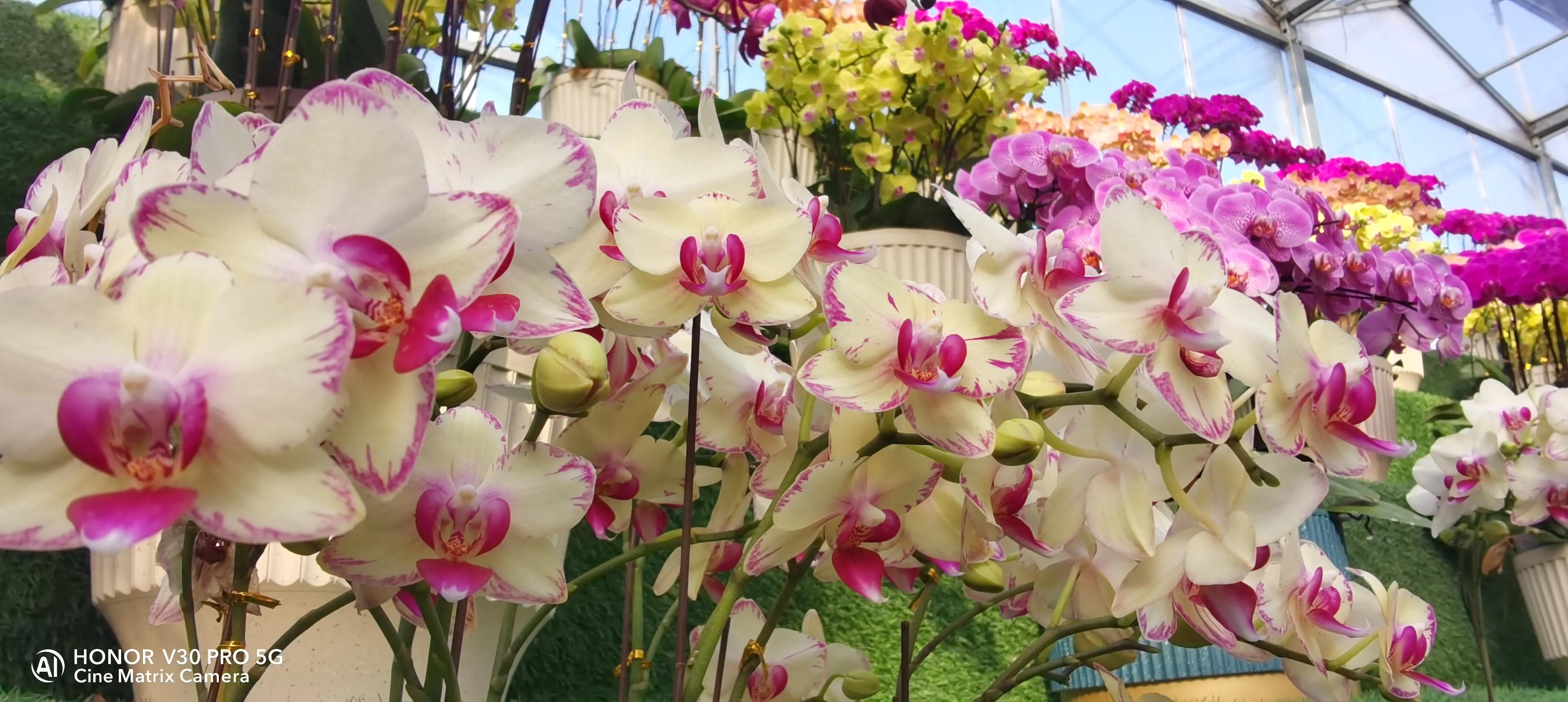 吹牛要交税多少,吹牛要不要交税