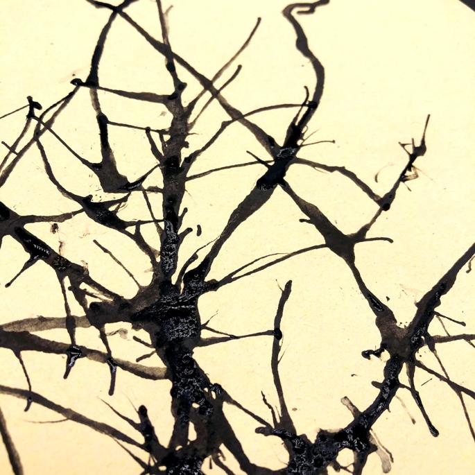 迎春花歌曲,迎春花是什么颜色的