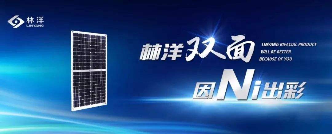 林洋能源储能龙头,林洋能源深度分析