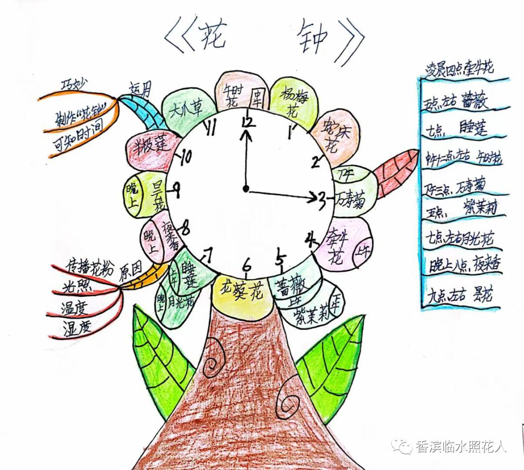 三年级下册语文花钟思维导图简单,三年级下册第13课花钟做思维导图